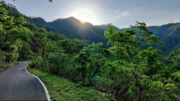 Aerial view of Madhuram Stays homestay surrounded by Himalayan forest